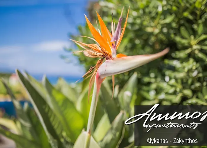 Ammos Appartement Alykanas (Zakynthos)