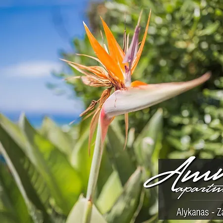 Ammos Apartmán Alykanas (Zakynthos)